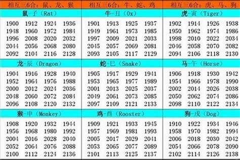 2002年五行属什么|2002年属什么命 2002年属什么生肖和什么最配